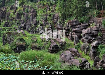 La pietra rossa la Foresta Nazionale dei Geoparchi, noto anche come montagna Guzhang situato nella provincia del Hunan, Cina. Il parco è stato classificato come AAA scenic area della Cina Foto Stock