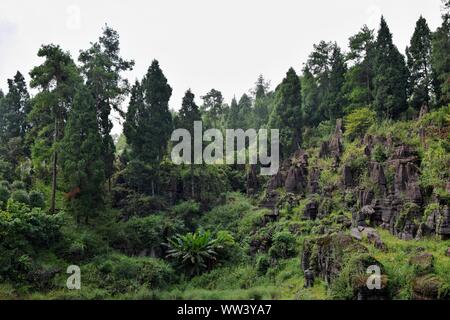 La pietra rossa la Foresta Nazionale dei Geoparchi, noto anche come montagna Guzhang situato nella provincia del Hunan, Cina. Il parco è stato classificato come AAA scenic area della Cina Foto Stock