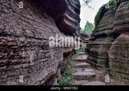 La pietra rossa la Foresta Nazionale dei Geoparchi, noto anche come montagna Guzhang situato nella provincia del Hunan, Cina. Il parco è stato classificato come AAA scenic area della Cina Foto Stock