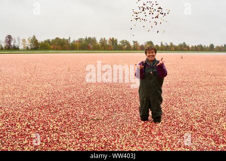 Ridendo donna in waders tossing mirtilli rossi in aria circondata da milioni di mirtilli rossi galleggianti sulla superficie, Wisconsin Rapids, Wisconsin, STATI UNITI D'AMERICA Foto Stock