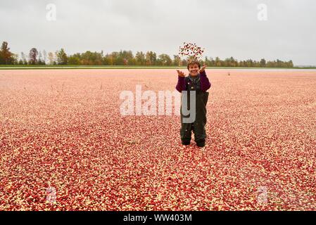 Ridendo donna in waders tossing mirtilli rossi in aria circondata da milioni di mirtilli rossi galleggianti sulla superficie, Wisconsin Rapids, Wisconsin, STATI UNITI D'AMERICA Foto Stock