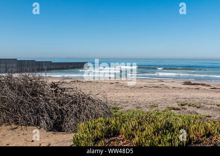 Fogliame sul confine di stato del campo Park Beach con la frontiera internazionale parete che separa San Diego in California e Tijuana, Messico nella distanza. Foto Stock