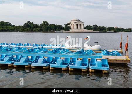 Swan barche e pedalò schierate vicino al Jefferson Memorial nel bacino di marea. Foto Stock