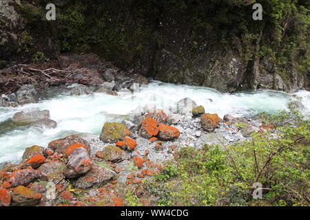 Otira Gorge Arthur's Pass Parco Nazionale dell'Isola del Sud della Nuova Zelanda Foto Stock