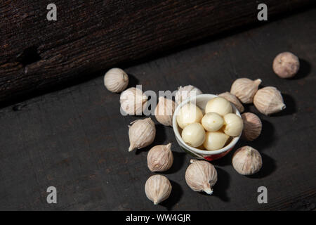 Elephant aglio lampadina singola forma sana aroma di erbe ingrediente alimentare nero su uno sfondo di legno Foto Stock