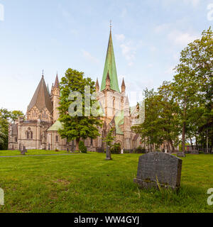 La cattedrale Nidaros di Trondheim, Norvegia Foto Stock