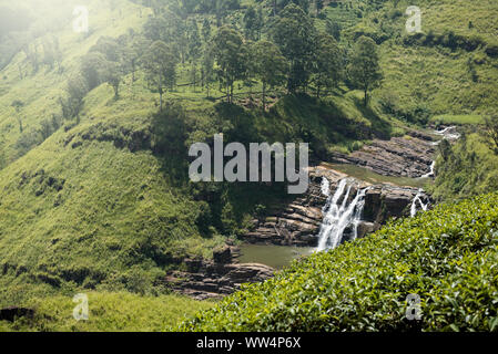 Bella cascata paesaggio in Sri Lanka Foto Stock