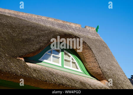 Tetto di Paglia con finestra, Mar Baltico spa, Wustrow Fischland, Fischland-Darß-Zingst, Meclemburgo-Pomerania Occidentale, Germania Foto Stock