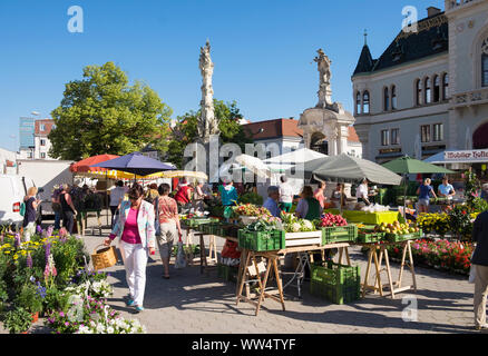 Mercato sulla piazza principale di fronte al municipio, Korneuburg, Weinviertel, Austria Inferiore, Austria Foto Stock