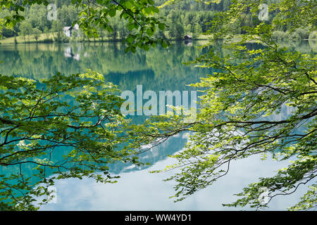 Langbathsee anteriore vicino Ebensee, Salzkammergut, Austria superiore, Austria Foto Stock