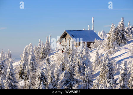 Zwiesel baita in inverno, GroÃŸer Arber, Foresta Bavarese parco naturale, Bassa Baviera, Baviera, Germania Foto Stock