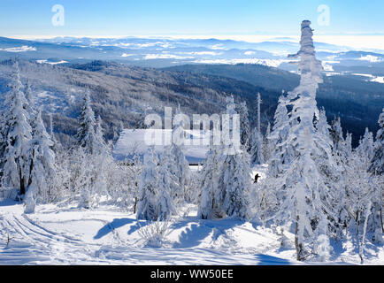 Lusen baita di montagna con neve, Lusen, Parco Nazionale della Foresta Bavarese, Bassa Baviera, Baviera, Germania Foto Stock