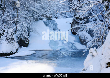 Obere Argen in Eistobel vicino GrÃ¼nenbach, west AllgÃ¤u, AllgÃ¤u, Svevia, Baviera, Germania Foto Stock