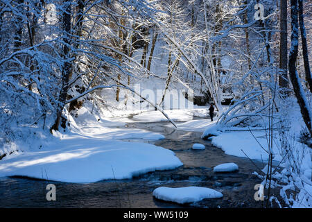 Obere Argen in Eistobel vicino GrÃ¼nenbach, west AllgÃ¤u, AllgÃ¤u, Svevia, Baviera, Germania Foto Stock