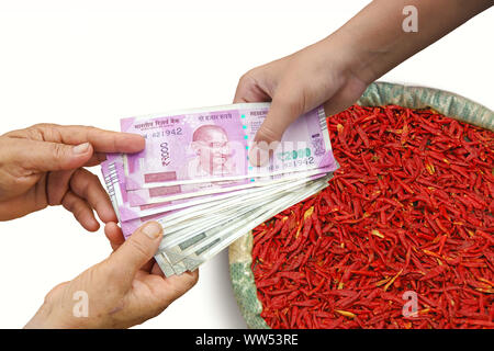 Mano dando Indian 500 e 2000 rupie banconote oltre il sacchetto pieno di peperoncino rosso, la nozione di utili o di trascorrere in agricoltura. Foto Stock