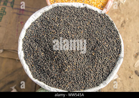 Tela, sacchetto pieno di Nero Murad dal fagiolo lenticchie. concetto per i guadagni o trascorrere in agricoltura. Foto Stock
