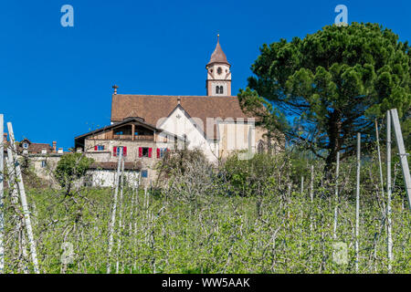 Vista su Tirolo presso Merano, Alto Adige, Italia, Europa Foto Stock