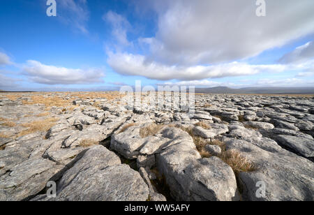 Vista panoramica verso la Pen-y-Ghent da formazioni calcaree di lunga cicatrice sul Pennine Briddleway nel Yorkshire Dales. Foto Stock