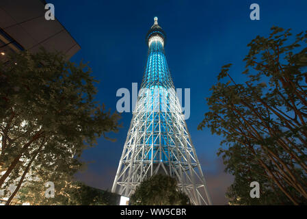 Tokyo Skytree di notte, Sumida, Tokyo, Honshu, Giappone Foto Stock