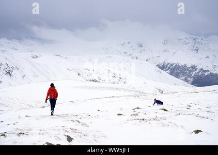 Un escursionista sul bordo sinistro del telaio discendente attraverso la neve dal vertice di alta sollevare verso la testa Rampsgill vicino Hartsop nel distretto del lago. Foto Stock