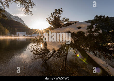 Indietro la situazione di luce del sole al tramonto con forte irraggiamento solare e riflesso nell'acqua di un piccolo alpino lago di montagna. In primo piano una coperta di neve albero. Foto Stock