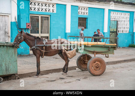 Carrello a cavallo con cavallo nella parte anteriore della casa blu, Vinales, Pinar del Rio, Cuba Foto Stock