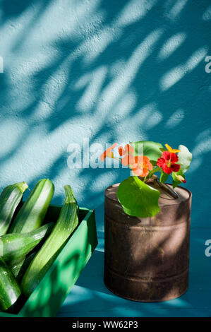 Estate decorazione con i Nasturzi e le zucchine Foto Stock