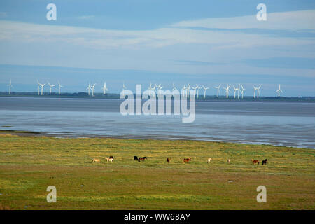 Vista da dune del Mare del Nord isola Juist al di sopra del mare di Wadden sulle centrali eoliche sul Frisone Orientali del continente. Foto Stock