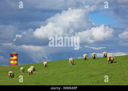 Pecore sulla diga di fronte al faro Pilsum in Oriente Frisone Krummhoern paesaggio. Foto Stock