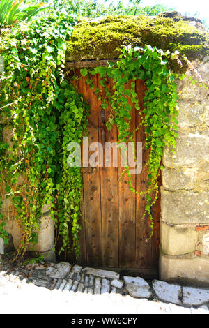Muro di pietra con la vecchia porta di legno coperto di edera Foto Stock