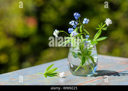 La molla umore, dimenticare-me-poveri e woodruff, sboccia in un vetro, su di un tavolo di legno in giardino Foto Stock