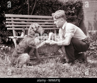 1920s in questione preoccupato PRETEEN BOY la somministrazione di primo soccorso ai feriti pelo ruvido MUTT DOG incarto zampa anteriore IN COTONE BENDA - d1736 HAR001 HARS CARING MASCHI RISCHIO FIDUCIA RUVIDA B&W interessate tristezza successo ampio angolo di mammiferi canini conoscenza esterna PAL PAW A PRETEEN POOCH COLLEGAMENTO SUPPORTO concettuale migliore amico VETERINARIO MUTT CANINE novellame mammifero pre-teen pre-teen BOY STARE INSIEME la somministrazione in bianco e nero di etnia caucasica PRIMO AIUTO HAR001 in vecchio stile Foto Stock