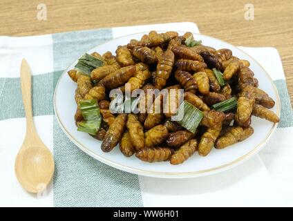 La cucina e il cibo tailandese tradizionale profondo fritto marinato vermi di noce di cocco con erbe su un piatto bianco. Uno dei più popolari street food in Thailandia. Foto Stock