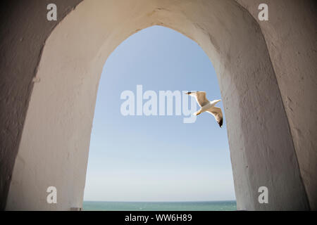 Cafe, visualizzare bow, mare, cielo, seagull in volo, Essaouira, Marocco Foto Stock