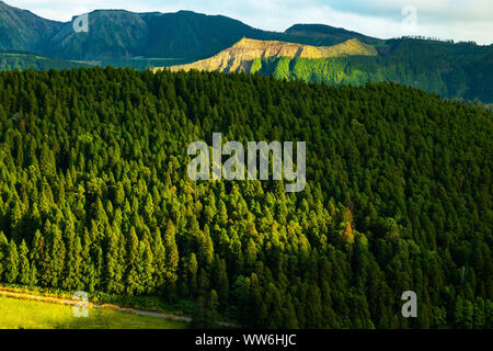 Paesaggio impressione su Azzorre isola Sao Miguel, Azzorre, Portogallo Foto Stock