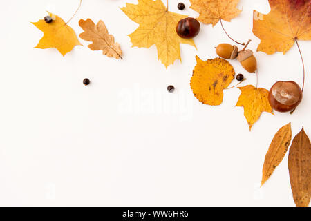 Foglie di autunno, castagne, ghiande e chokeberries Foto Stock
