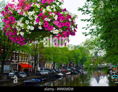 Amsterdam / Paesi Bassi - Luglio 11, 2019: Bellissima amsterdam central street in nuvoloso giorno di estate come uno sfondo per la petunia fiori in vaso. Fiori Foto Stock