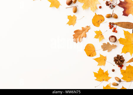 Asciugare le foglie di autunno, sorbe e pigne Foto Stock