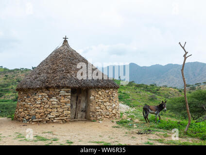Bilen villaggio con tetti di paglia, Semien-Keih-Bahri, Elabered, Eritrea Foto Stock