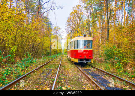 Il tram rosso d'epoca a guida lenta nel corridoio della foresta nel resort termale Pushcha-Vodytsya e nel vecchio quartiere di Kiev, Ucraina Foto Stock