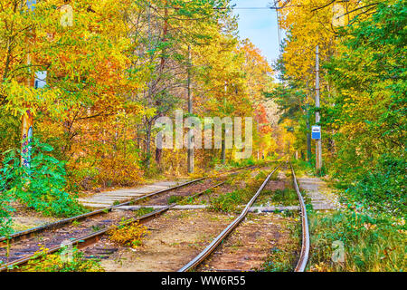 La stazione del tram nel bosco del resort termale Pushcha-Vodytsya, fiancheggiata da lussureggiante vegetazione autunnale, Kiev, Ucraina Foto Stock