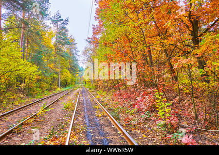 Il percorso del tram si estende lungo il bosco del resort termale Pushcha-Vodytsya, particolarmente bello in autunno, Kiev, Ucraina Foto Stock