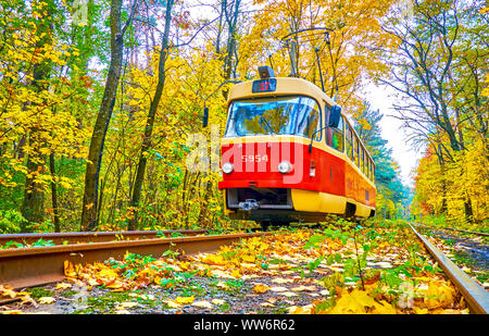 Il tram rosso retrò nella pittoresca foresta autunnale del resort climatico Pushcha-Vodytsya, situato nel quartiere della città di Obolon a Kiev, Ucraina Foto Stock