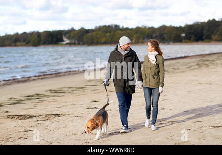 Giovane con cane beagle camminando lungo la spiaggia di autunno Foto Stock