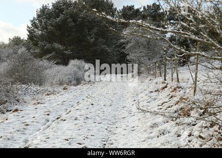 Neve su una strada sterrata/fattoria strada che conduce in un bosco vicino a un villaggio Eifel in Germania Foto Stock