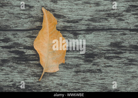 Foglie di giallo sul vecchio pavimento in legno con bellissimi disegni. Foto Stock