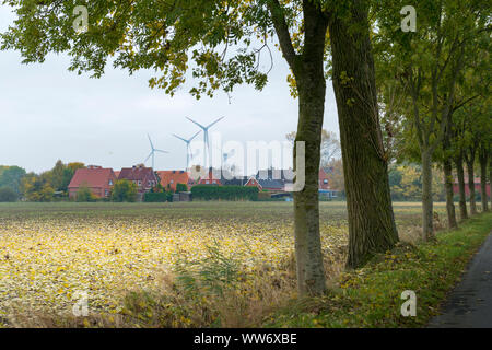 Germania, Bassa Sassonia, Frisia orientale, tree avenue nel KrummhÃ¶rn, vista di Logumer Vorwerk (distretto di Emden), Foto Stock