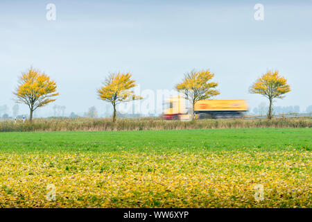 Germania, Bassa Sassonia, Frisia orientale, albero fila accanto a una strada di campagna in Frisia orientale, Foto Stock