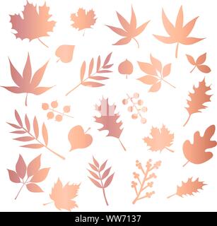 La lamina di rame lascia vector icon set. Natura del fogliame foglia elementi isolati. Rosa metallizzato oro design floreale per un decor elegante, invito matrimonio Illustrazione Vettoriale