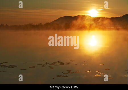 Sun riflette sul lago Eichsee con ninfee lascia al mattino presto Foto Stock